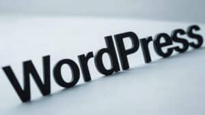 Word Press 建站优化：Reset API错误解决办法